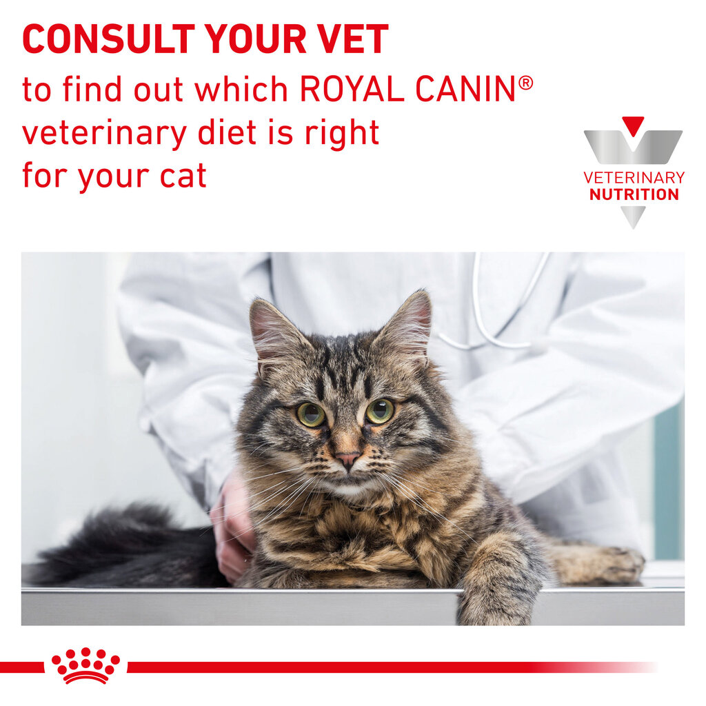 Kuivtoit Royal Canin täiskasvanud stressile vastuvõtlikele kassidele Cat calm feline, 2 kg цена и информация | Kassi kuivtoit ja kassikrõbinad | hansapost.ee
