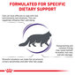 Kuivtoit Royal Canin täiskasvanud stressile vastuvõtlikele kassidele Cat calm feline, 2 kg цена и информация | Kassi kuivtoit ja kassikrõbinad | hansapost.ee