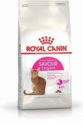 Royal Canin tujukatele kassidele Exigent Savour, 0,4 kg цена и информация | Сухой корм для кошек | hansapost.ee