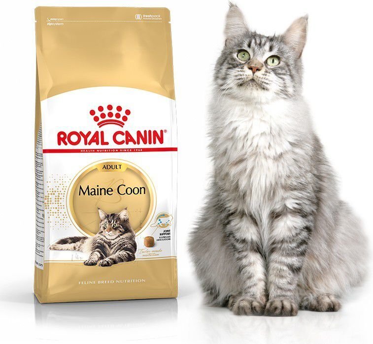 Royal Canin Meini kassi tõule, 4 kg цена и информация | Kassi kuivtoit ja kassikrõbinad | hansapost.ee