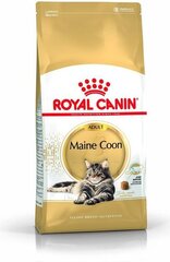Royal Canin Meini kassi tõule, 4 kg hind ja info | Kassi kuivtoit ja kassikrõbinad | hansapost.ee