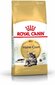 Royal Canin Meini kassi tõule, 4 kg цена и информация | Kassi kuivtoit ja kassikrõbinad | hansapost.ee