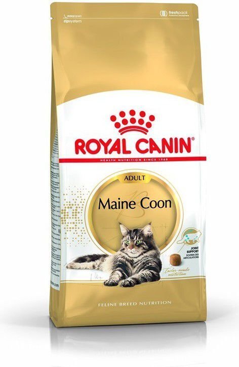 Royal Canin Meini tõugu kassidele, 10 kg hind ja info | Kassi kuivtoit ja kassikrõbinad | hansapost.ee