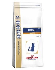 Kuivtoit neeruprobleemidega kassidele Royal Canin Cat Renal Select, 4 kg цена и информация | Сухой корм для кошек | hansapost.ee