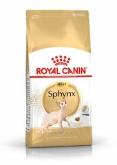 Royal Canin Sfinks tõugu kassidele Adult, 2 kg hind ja info | Kassi kuivtoit ja kassikrõbinad | hansapost.ee