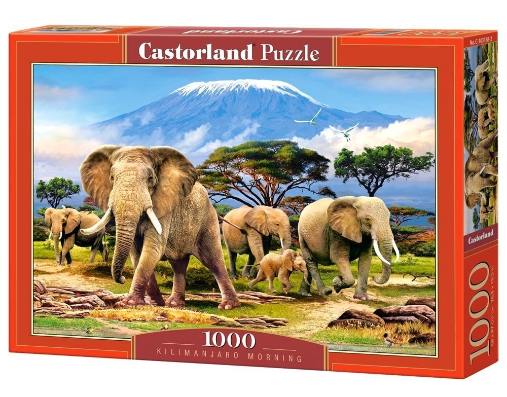 Pusle Castorland Puzzle Kilimanjaro Morning, 1000-osaline цена и информация | Pusled lastele ja täiskasvanutele | hansapost.ee