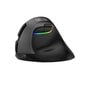 Delux Wireless 2.4G+BT Ergonomic Mouse M618Mini hind ja info | Arvutihiired | hansapost.ee