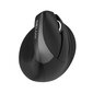 Delux Wireless 2.4G+BT Ergonomic Mouse M618Mini hind ja info | Arvutihiired | hansapost.ee