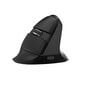 Delux Wireless 2.4G+BT Ergonomic Mouse M618Mini hind ja info | Arvutihiired | hansapost.ee