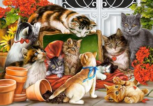 Pusle Castorland Kittens Play Time, 1500 osa hind ja info | Pusled lastele ja täiskasvanutele | hansapost.ee