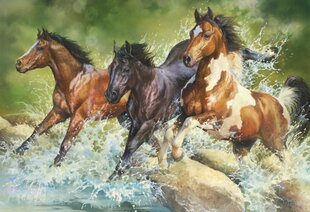 Пазл Trefl Wild Horses, 1500 д. цена и информация | Пазлы | hansapost.ee