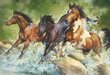Pusle Trefl Wild Horses, 1500-osaline hind ja info | Pusled lastele ja täiskasvanutele | hansapost.ee