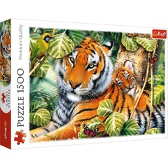 Pusle Trefl Kaks tiigrit, 1500-osaline hind ja info | Pusled lastele ja täiskasvanutele | hansapost.ee