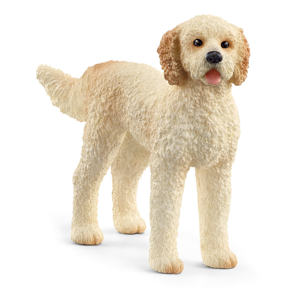 Koerakujuke Schleich Farm World Goldendoodle hind ja info | Mänguasjad poistele | hansapost.ee