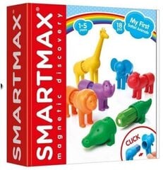 Магнитный конструктор SmartMax My First Safari Animals цена и информация | Smartmax Товары для детей и младенцев | hansapost.ee