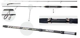 Spinning Akara ERION Jig (3-12) TX-30 2X 198 cm hind ja info | Ridvad, ridvahoidjad | hansapost.ee