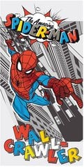 Rannarätik Spiderman Pop, 70 x 140 cm цена и информация | Полотенца | hansapost.ee