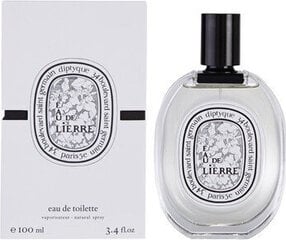 Туалетная вода Diptyque Eau De Lierre EDT, 100 мл цена и информация | Женские духи | hansapost.ee