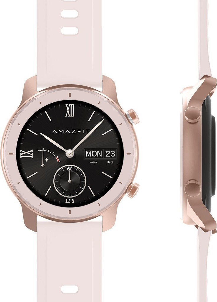 Amazfit GTR, 42 mm, Roosa (Cherry pink) цена и информация | Nutikellad, laste nutikellad | hansapost.ee