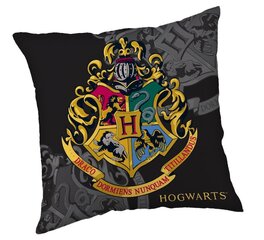 Детская декоративная подушка Harry Potter цена и информация | Декоративные подушки и наволочки | hansapost.ee