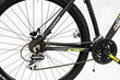 BICYCLE 29" MTB BLACK/GREEN/8001446121207 COPPI цена и информация | Jalgrattad | hansapost.ee