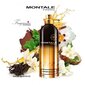 Parfüümvesi Montale Paris Leather Patchouli EDP naistele/meestele 100 ml цена и информация | Parfüümid naistele | hansapost.ee