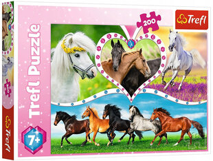Пазл Puzzle 278 красивые лошади, 200шт цена и информация | Пазлы | hansapost.ee