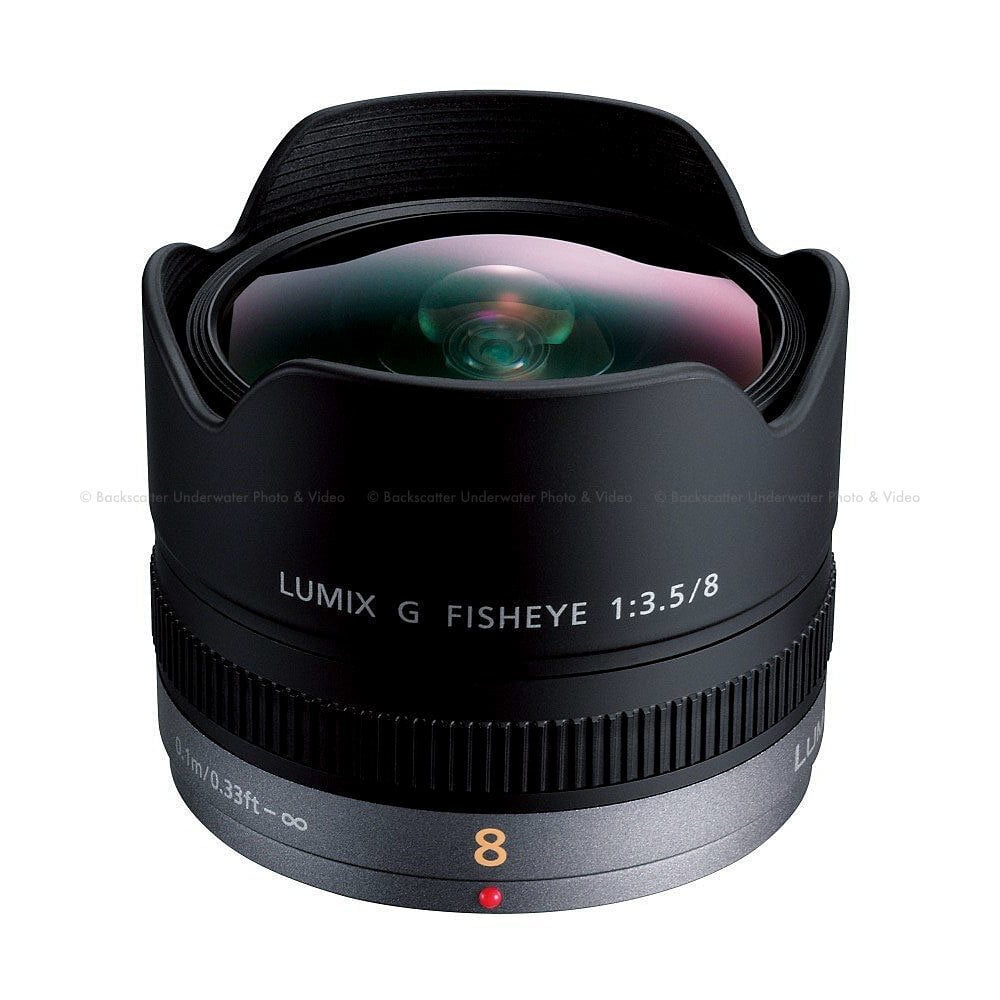 Panasonic Lumix G 8mm f/3.5 Fisheye objektiiv hind ja info | Fotoaparaatide objektiivid | hansapost.ee