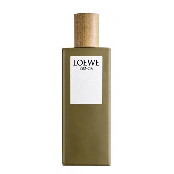 Meeste parfüüm Loewe Esencia EDT (100 ml) цена и информация | Parfüümid meestele | hansapost.ee