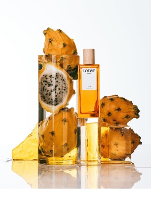 Naiste parfüüm Solo Ella Loewe EDT (100 ml) цена и информация | Parfüümid naistele | hansapost.ee