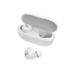 QCY T17 TWS Wireless Earphones (white) цена и информация | Наушники | hansapost.ee
