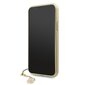 Guess GUHCN61GF4GBR iPhone 11 jaoks, pruun hind ja info | Telefonide kaitsekaaned ja -ümbrised | hansapost.ee