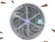 Päikesepatareiga lamp putukate vastu цена и информация | Putukatõrje | hansapost.ee