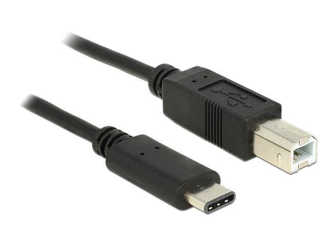 USB-kaabel Delock 83601 цена и информация | Juhtmed ja kaablid | hansapost.ee
