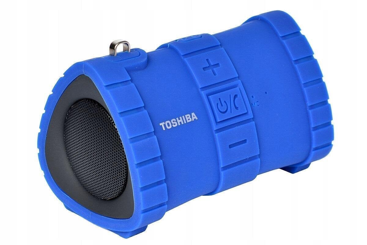 Toshiba Sonic Dive 2 TY-WSP100, sinine цена и информация | Kõlarid | hansapost.ee