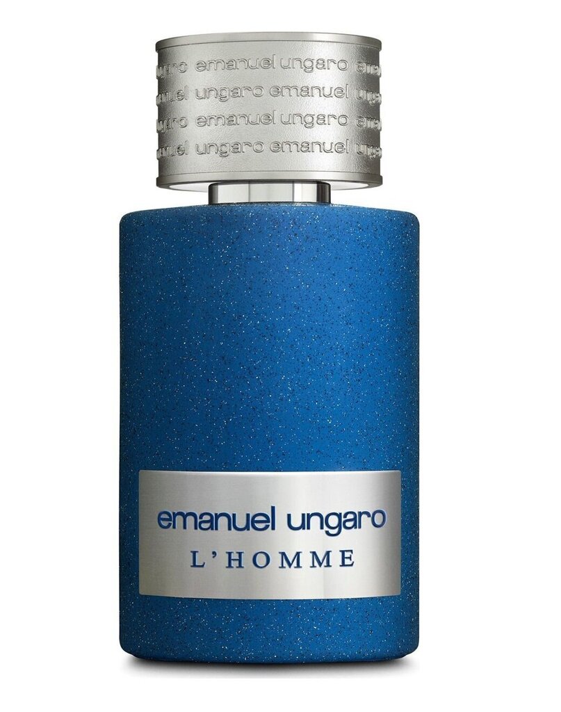 Tualettvesi Emanuel Ungaro L'Homme EDT meestele 100 ml цена и информация | Parfüümid meestele | hansapost.ee