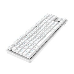 Wireless mechanical keyboard Dareu EK807G 2.4G (white) цена и информация | Клавиатуры | hansapost.ee