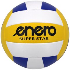 Võrkpalli pall Enero Super Star, suurus 5 hind ja info | Võrkpalli pallid | hansapost.ee