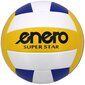 Võrkpalli pall Enero Super Star, suurus 5 цена и информация | Võrkpalli pallid | hansapost.ee