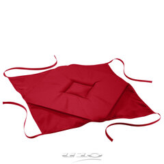 Douceur d'Intérieur toolipadi Essentiel, punane, 36 x 36 x 3,5 cm hind ja info | Toolipadjad ja toolikatted | hansapost.ee