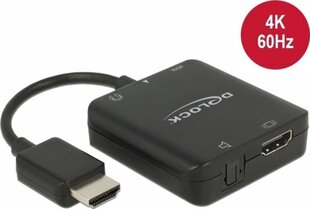 Delock 63276 цена и информация | Адаптеры и USB-hub | hansapost.ee