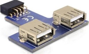 Delock 41824, 9 pin/USB-A цена и информация | Кабели и провода | hansapost.ee