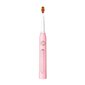FairyWill Sonic toothbrush with head set and case FW-507 Plus (pink) hind ja info | Elektrilised hambaharjad | hansapost.ee