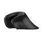 Wireless Vertical Mouse Dareu LM109 Magic Hand Bluetooth + 2.4G (black) цена и информация | Arvutihiired | hansapost.ee