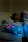 Öövalgusti valguse projektsiooniga, helid - Kilpkonn sinine,Twilight Turtle Aqua, Cloud B 012929 цена и информация | Beebide mänguasjad | hansapost.ee