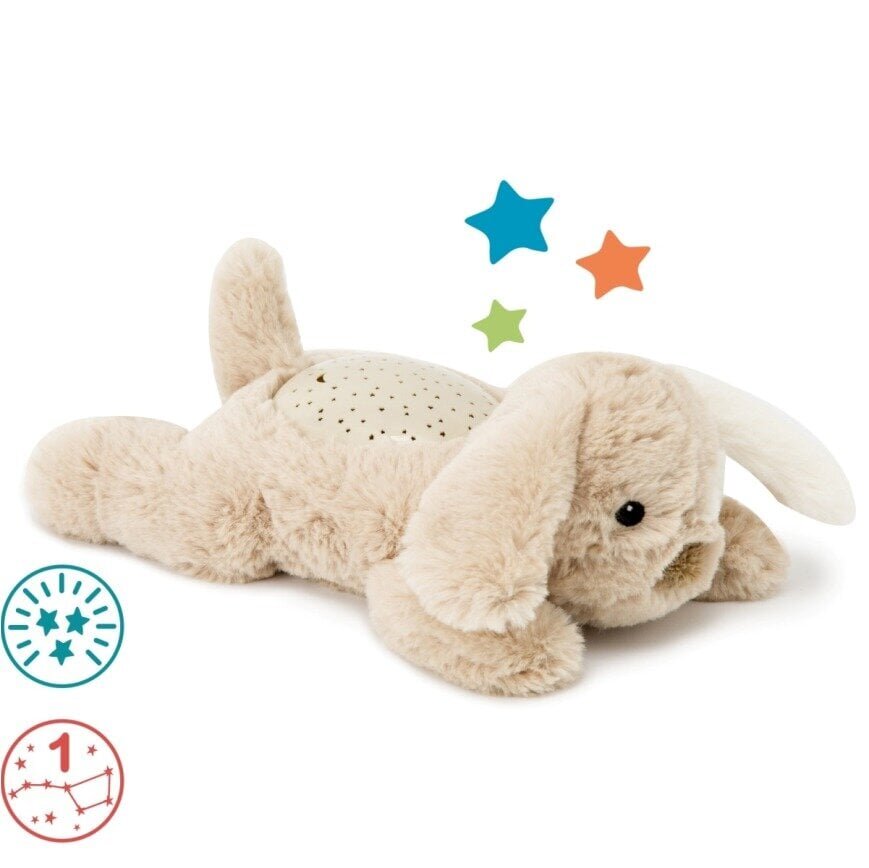 Öövalgusti valguse projektsiooniga - Koer , Dream Buddies Patch the Puppy Cloud B 129056 цена и информация | Beebide mänguasjad | hansapost.ee