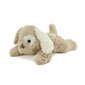 Öövalgusti valguse projektsiooniga - Koer , Dream Buddies Patch the Puppy Cloud B 129056 цена и информация | Beebide mänguasjad | hansapost.ee