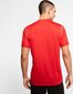 T-shirt Nike Park 20 M BV6883-657 цена и информация | Jalgpalli varustus ja riided | hansapost.ee