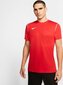 T-shirt Nike Park 20 M BV6883-657 цена и информация | Jalgpalli varustus ja riided | hansapost.ee