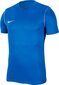 T-shirt Nike Park 20 M BV6883-463 hind ja info | Jalgpalli varustus ja riided | hansapost.ee